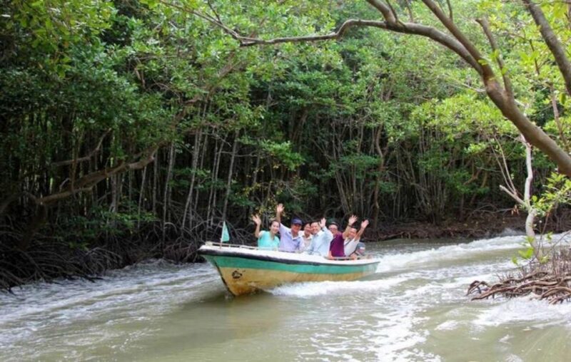 Can Gio Mangrove Biosphere Reserve 1 Day - Itinerary Highlights
