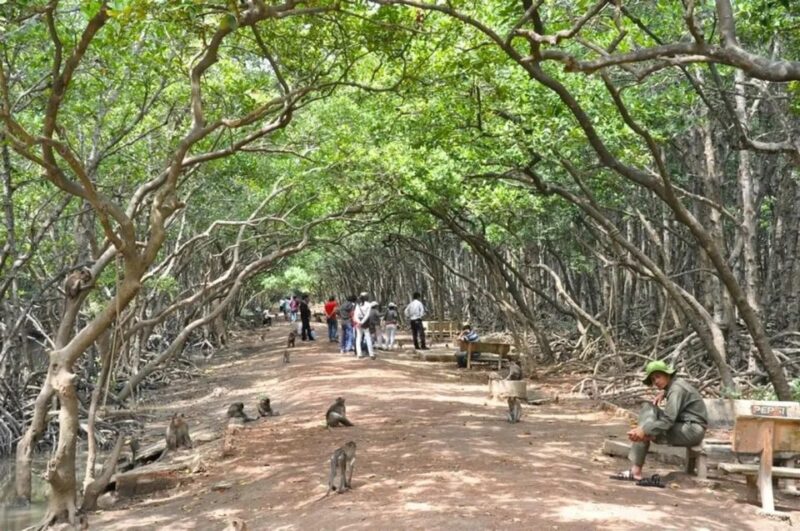 Can Gio Mangrove Biosphere Reserve 1 Day - Included in the Tour