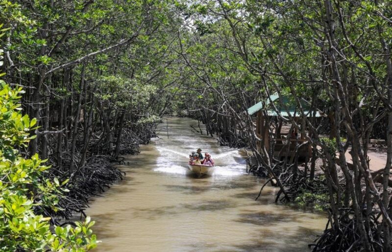 Can Gio Mangrove Biosphere Reserve 1 Day - Booking and Payment