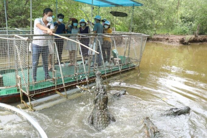 Can Gio Mangrove Biosphere Reserve 1 Day - Mangrove Forest Exploration