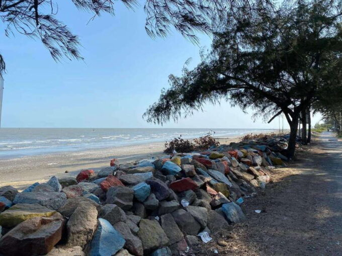 Can Gio Mangrove Forest and Monkey Island 1 Day - Vibrant Fish Market
