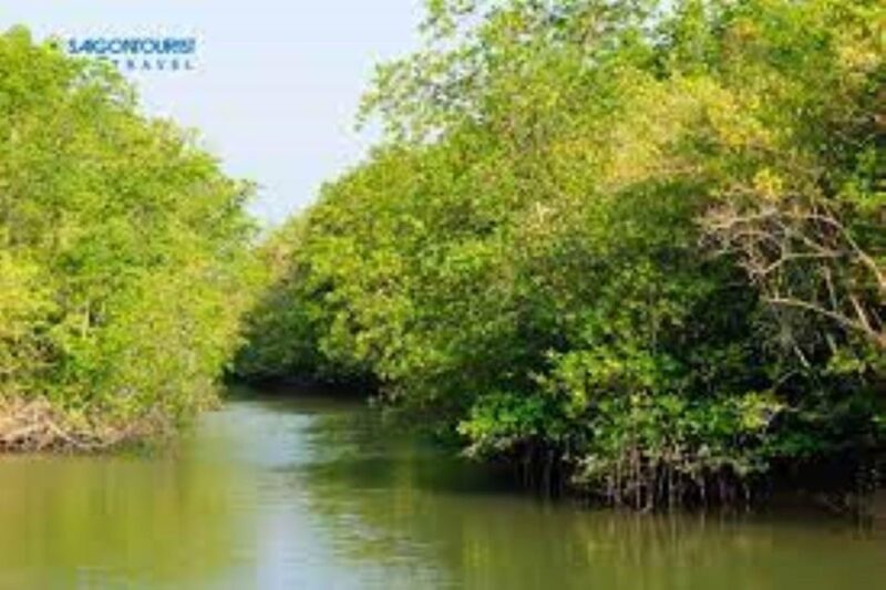 Can Gio Mangrove Forest and Monkey Island Full Day Tour - Biosphere Reserve and Biodiversity