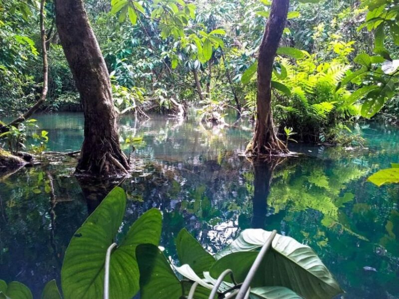 Can Gio Mangrove Forest and Monkey Island Full Day Tour - Highlights and Attractions