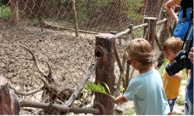 Can Gio Mangrove Forest and Monkey Island Full Day Tour - Exploring the Wonders of Can Gio Biosphere Reserve
