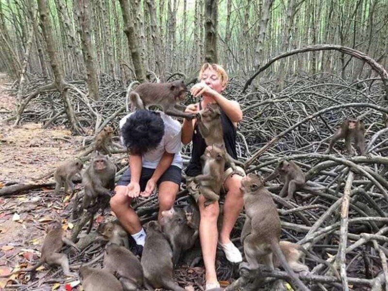 Can Gio Mangrove Forest and Monkey Island Full Day Tour - Inclusions and Exclusions