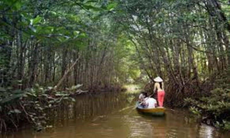 Can Gio Mangrove Forest and Monkey Island Full Day Tour - Visit the Crocodile Sanctuary