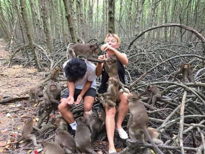 Can Gio Mangrove Forest and Monkey Island Full Day Tour - Since You Asked
