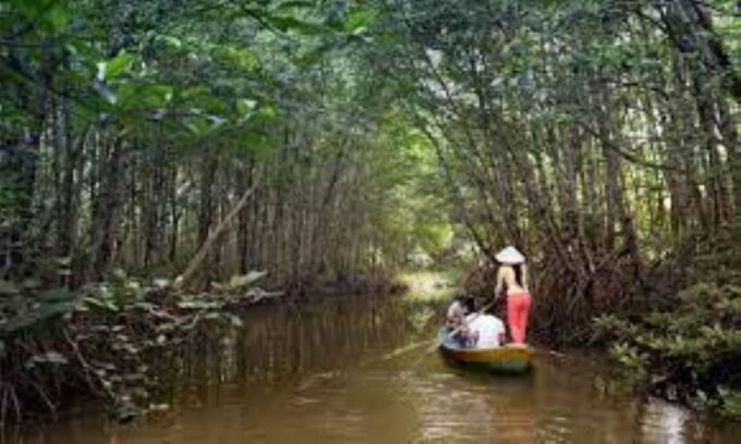 Can Gio Mangrove Forest and Monkey Island Full Day Tour - Additional Information