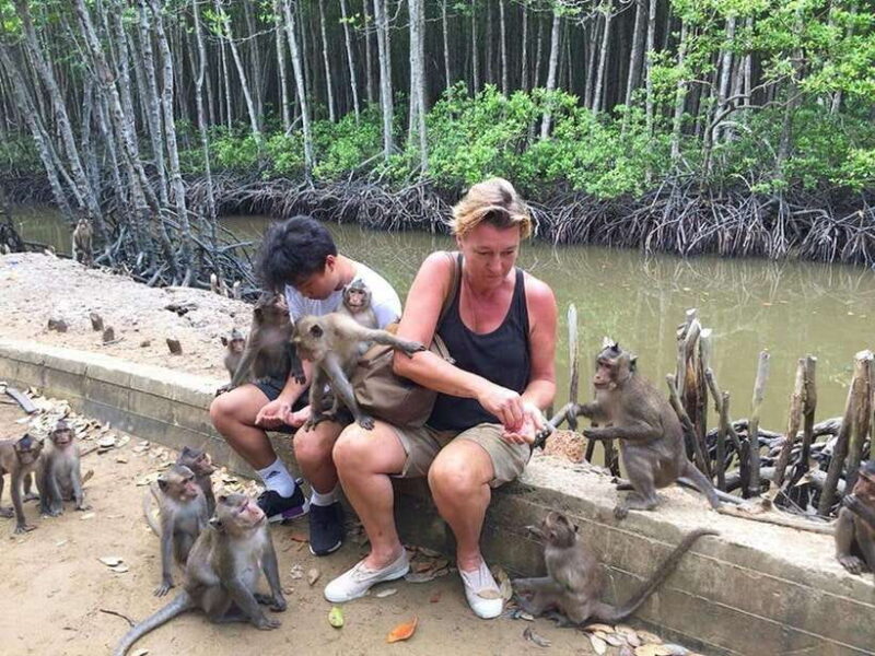 Can Gio Mangrove Forest & Monkey Island In 1 Day - Key Points