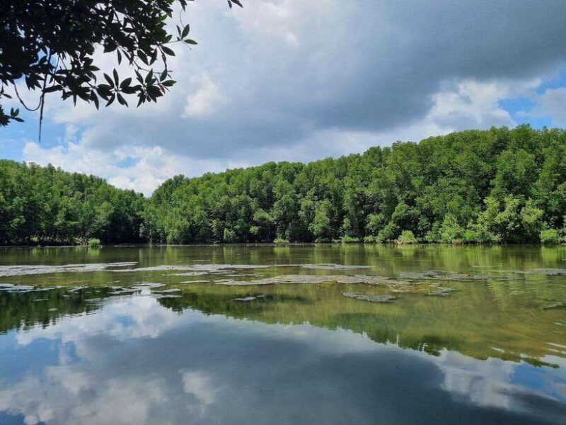 Can Gio Mangrove Forest & Monkey Island In 1 Day - Itinerary