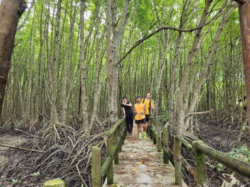 Can Gio Mangrove Forest & Monkey Island W Small Group Tour - Monkey Island Visit