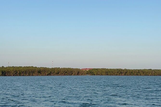 Can Gio Mangrove Forest Private Tour With Thanh An Island - A detailed look at the Can Gio Mangrove Forest Private Tour With Thanh An Island