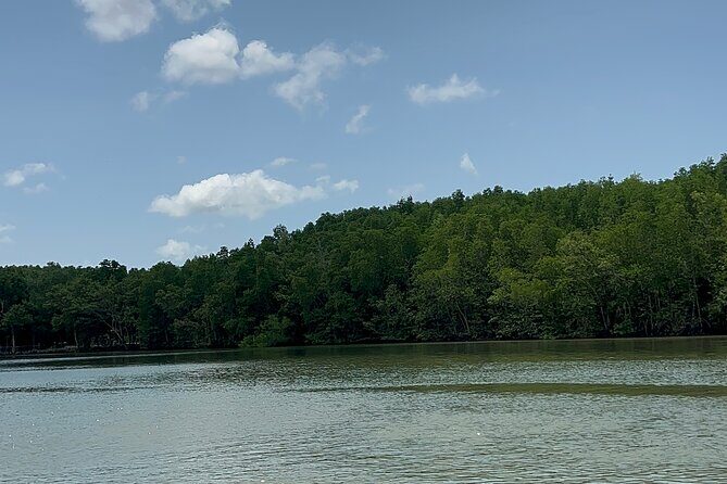 Can Gio Mangrove Forest Private Tour With Thanh An Island - Transportation and Timing: Comfort and Flexibility