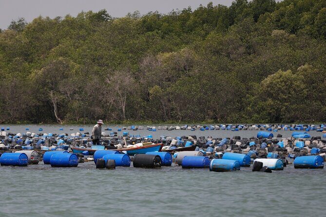 Can Gio Mangrove Forest Private Tour With Thanh An Island - The Sum Up: Is this tour right for you?