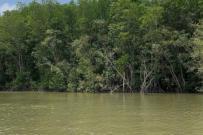 Can Gio Mangrove Forest Private Tour With Thanh An Island - Frequently Asked Questions