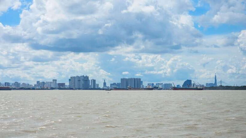 Can Gio Mangrove & Wildlife Day Tour by Speedboat From HCMC - Tour Overview