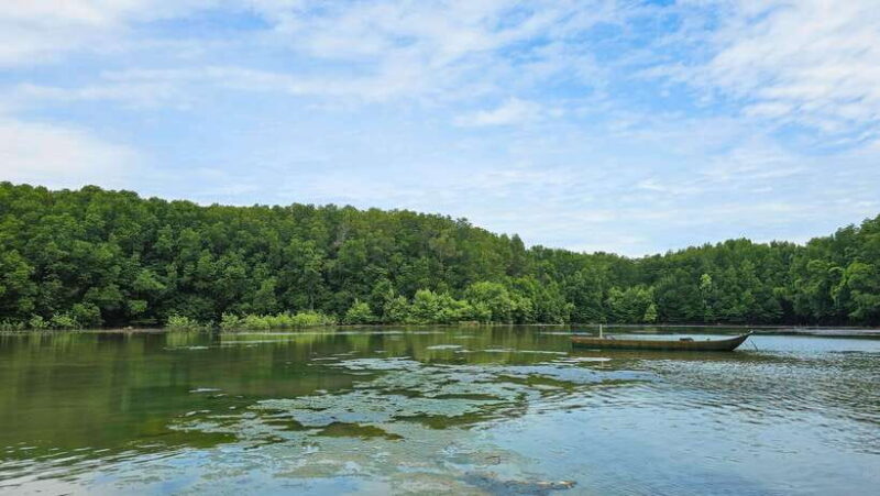 Can Gio Mangrove & Wildlife Day Tour by Speedboat From HCMC - Hoa Cà Crocodile Reserve