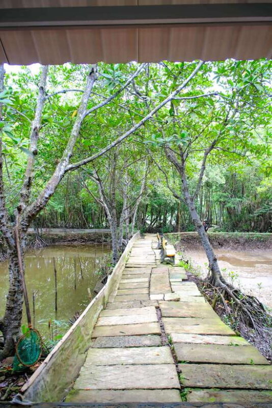 Can Gio Mangrove & Wildlife Day Tour by Speedboat From HCMC - Tang Bồng Tower