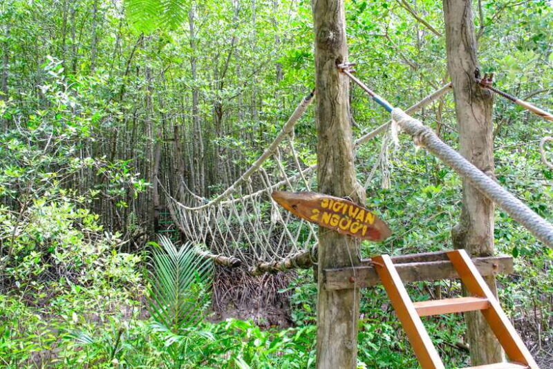 Can Gio Mangrove & Wildlife Day Tour by Speedboat From HCMC - Wildlife Encounter
