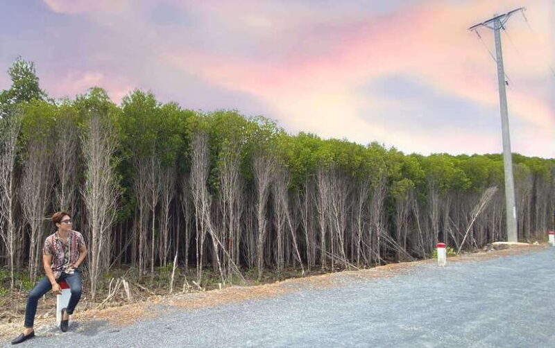 Can Gio Mangroves, Thanh An Island Private Tour By Motorbike - Activities Included