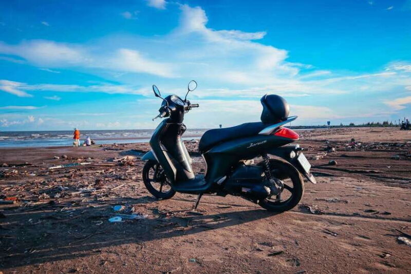 Can Gio Mangroves, Thanh An Island Tour With Female Guide - What to Expect