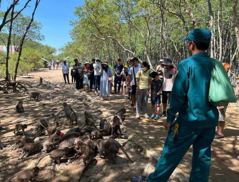 Can Gio Monkey Island Day Trip From HCMC - Itinerary Highlights