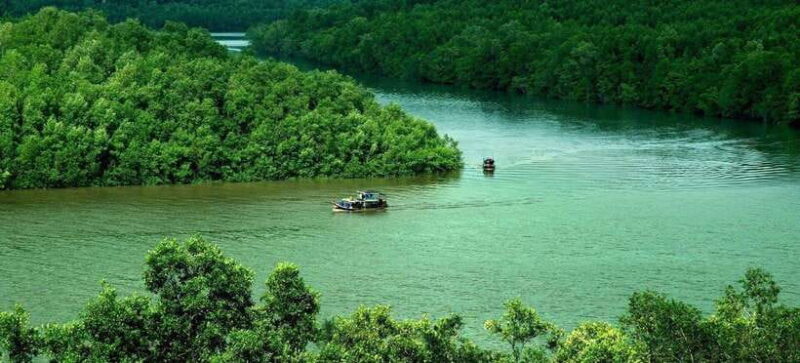 Can Gio Monkey Island Day Trip From HCMC - Exploring the Mangrove Forests