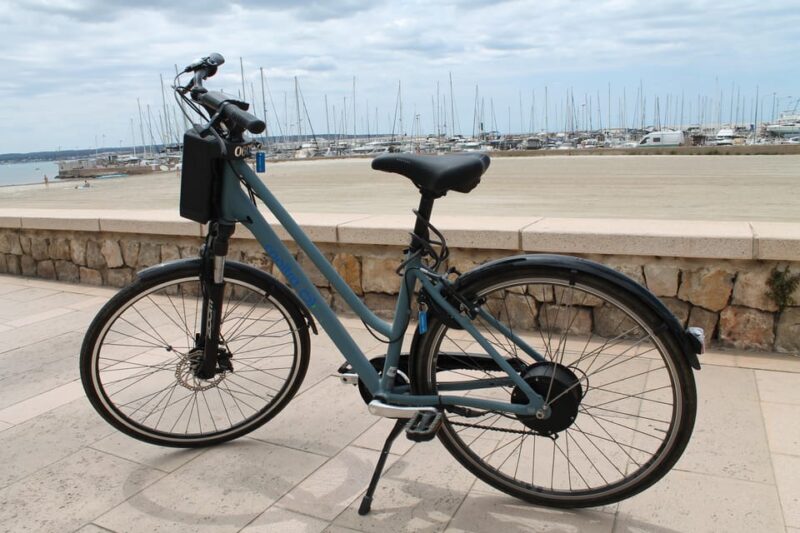 Can Pastilla: E-Bike Rental - Features of E-Bikes