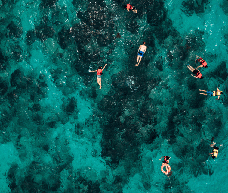 Can Pastilla: Visit Palma Speedboat Adrenaline & Snorkelling - Inclusions