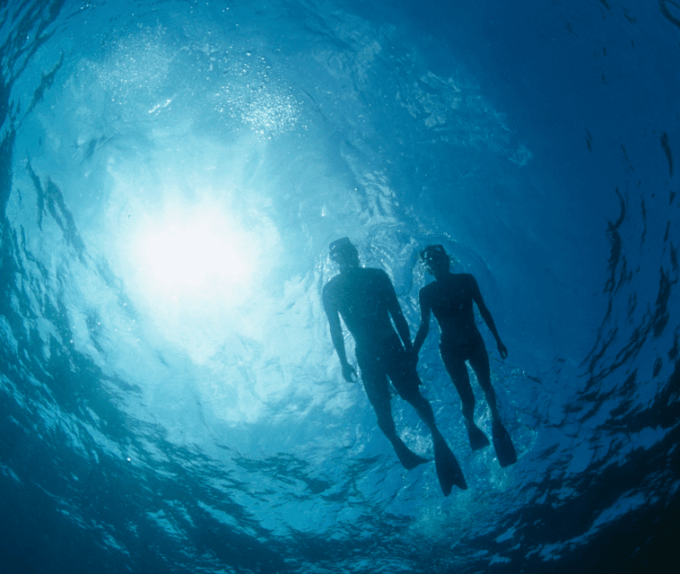 Can Pastilla: Visit Palma Speedboat Adrenaline & Snorkelling - Meeting Point and Arrival Time