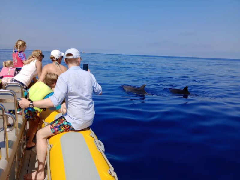 Can Picafort: Dolphin Watching Boat Tour With Swimming - Key Points