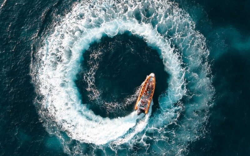 Can Picafort: Dolphin Watching Boat Tour With Swimming - Inclusions and Exclusions