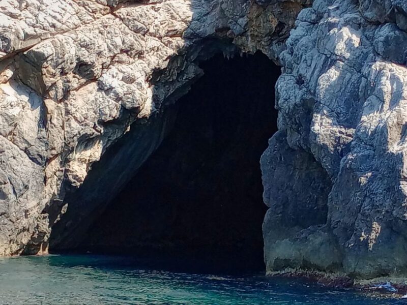 Can Picafort: Dolphin Watching Boat Tour With Swimming - Booking and Cancellation