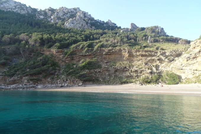 Can Picafort: Dolphin Watching Boat Tour With Swimming - Swimming and Snorkeling