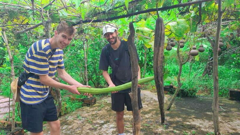 Can Tho: Floating Market, Canals, Garden & Cooking Class - FAQ