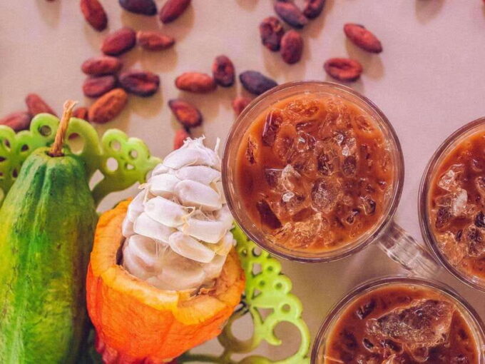 Can Tho: Floating Market & Cycling & Cacao Farm & Rice Field - Tour Logistics