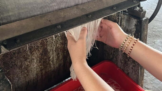 Can Tho: Floating Market Explore Local Life, Mekong Farm - Frequently Asked Questions