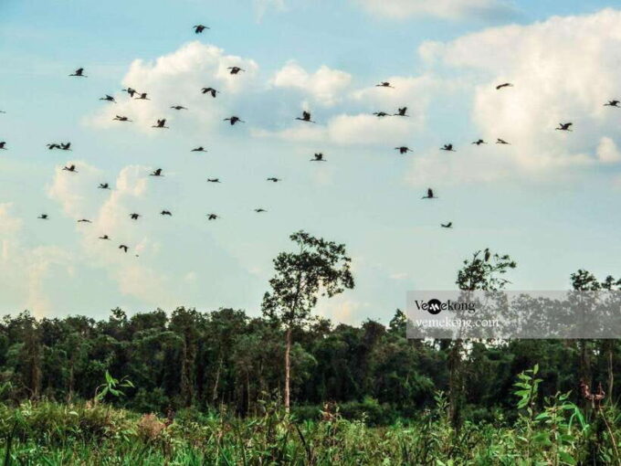 Can Tho: Lung Ngoc Hoang Forest Nature Reserve Half-Day Tour - Cancellation Policy