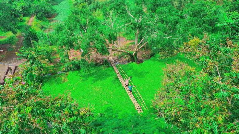 Can Tho: Lung Ngoc Hoang Nature Reserve and Mekongs Life - Expert-Guided Tour