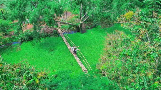 Can Tho: Lung Ngoc Hoang Nature Reserve and Mekongs Life - Additional Trip Details