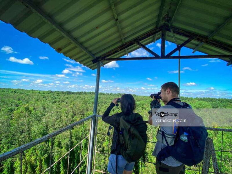 Can Tho: Lung Ngoc Hoang Nature Reserve & Forest Tour - Key Points