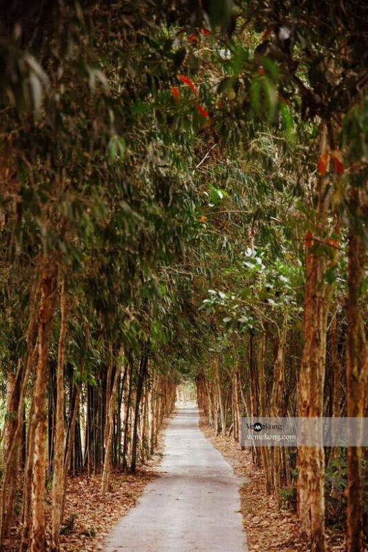 Can Tho: Lung Ngoc Hoang Nature Reserve & Forest Tour - Itinerary Highlights