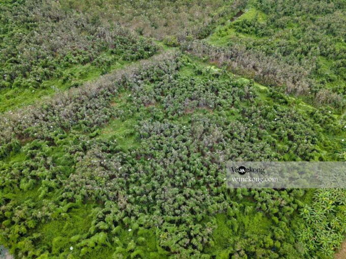 Can Tho: Lung Ngoc Hoang Nature Reserve & Forest Tour - What to Expect on the Tour