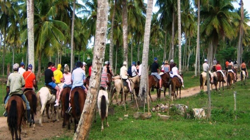 Cana Punta: Samana Full Day Tour Limon Waterfall - Transportation and Sailing