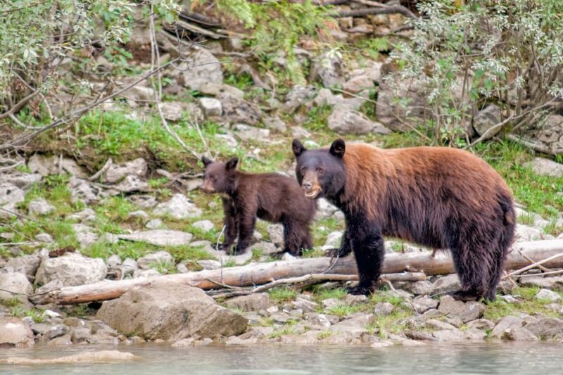 Canadian Rockies 7–Day National Parks Group Tour - Meeting Point