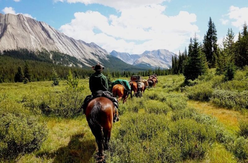 Canadian Rockies Combo: Helicopter Tour and Horseback Ride - Experience Details