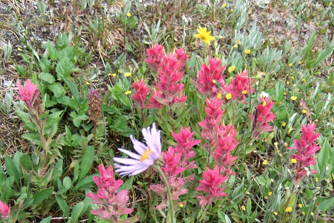 Canadian Rockies Hiking Adventure in Kananaskis Provincial Park - Confirmation and Cancellation Policy