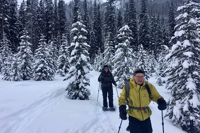 Canadian Rockies Hiking Adventure in Kananaskis Provincial Park - Private Tour and Group Size