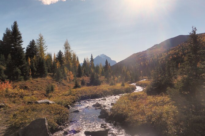Canadian Rockies Hiking Adventure in Kananaskis Provincial Park - Pricing and Guarantee