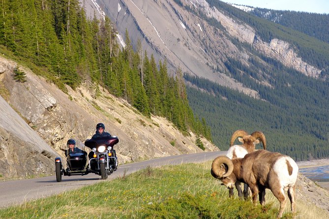 Canadian Rockies Tour by Chauffeured Sidecar From Jasper - Range of Customizable Destinations